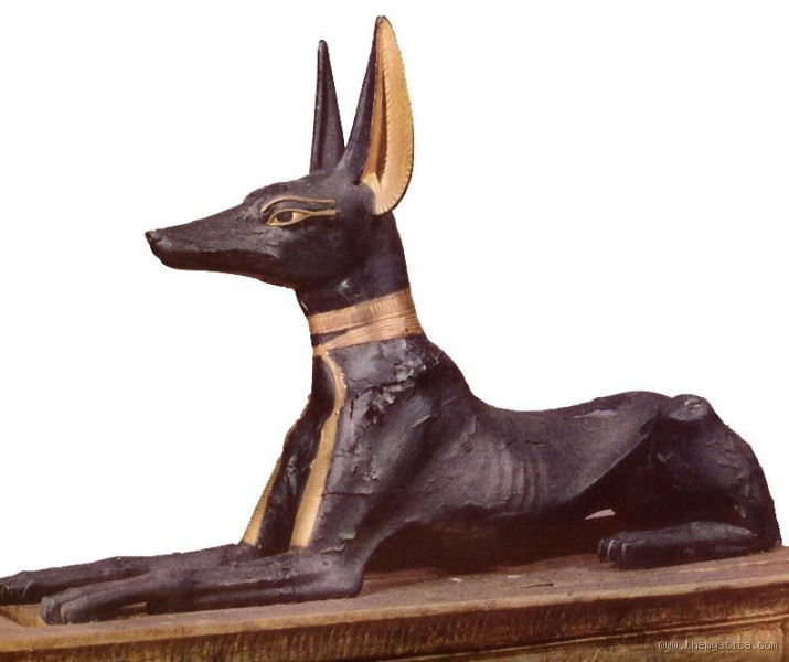 ¿Cómo se llama el perro de Anubis? El misterio de su fiel compañero