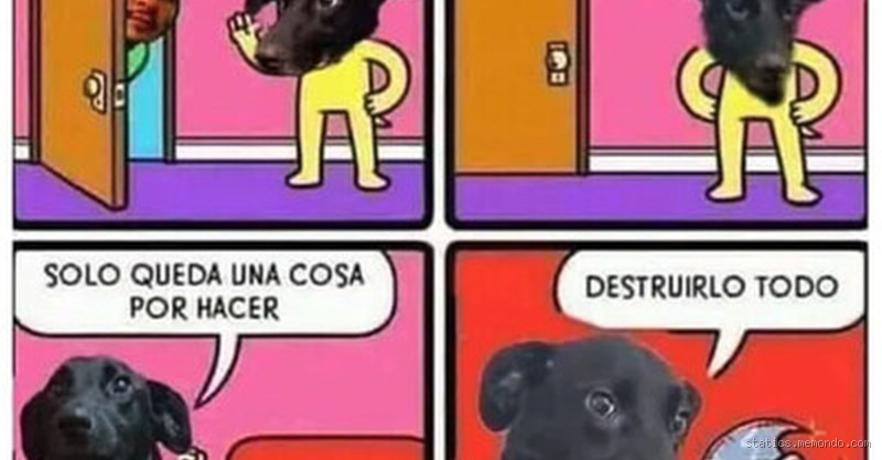 Lo que nadie te dice sobre qué piensan los perros cuando te vas